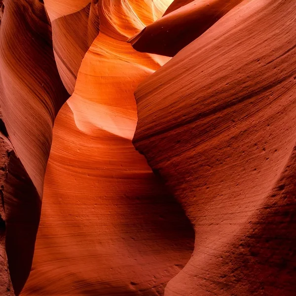 c7娱乐老虎机游戏