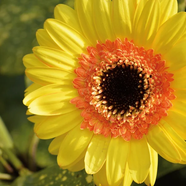 c7娱乐百家乐游戏